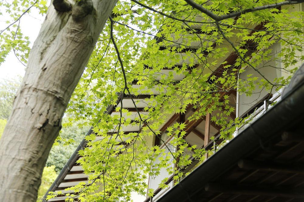 桥野栏水日式旅馆 神户